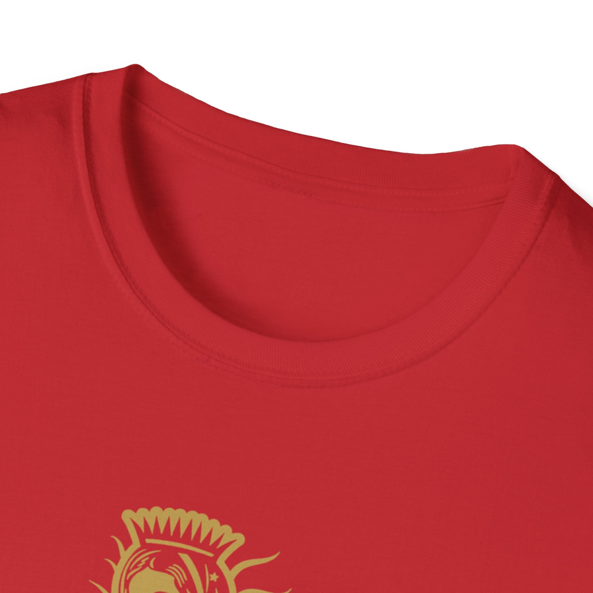 Our Lady of Guadalupe T-Shirt | Virgin Mary illustration, roses
