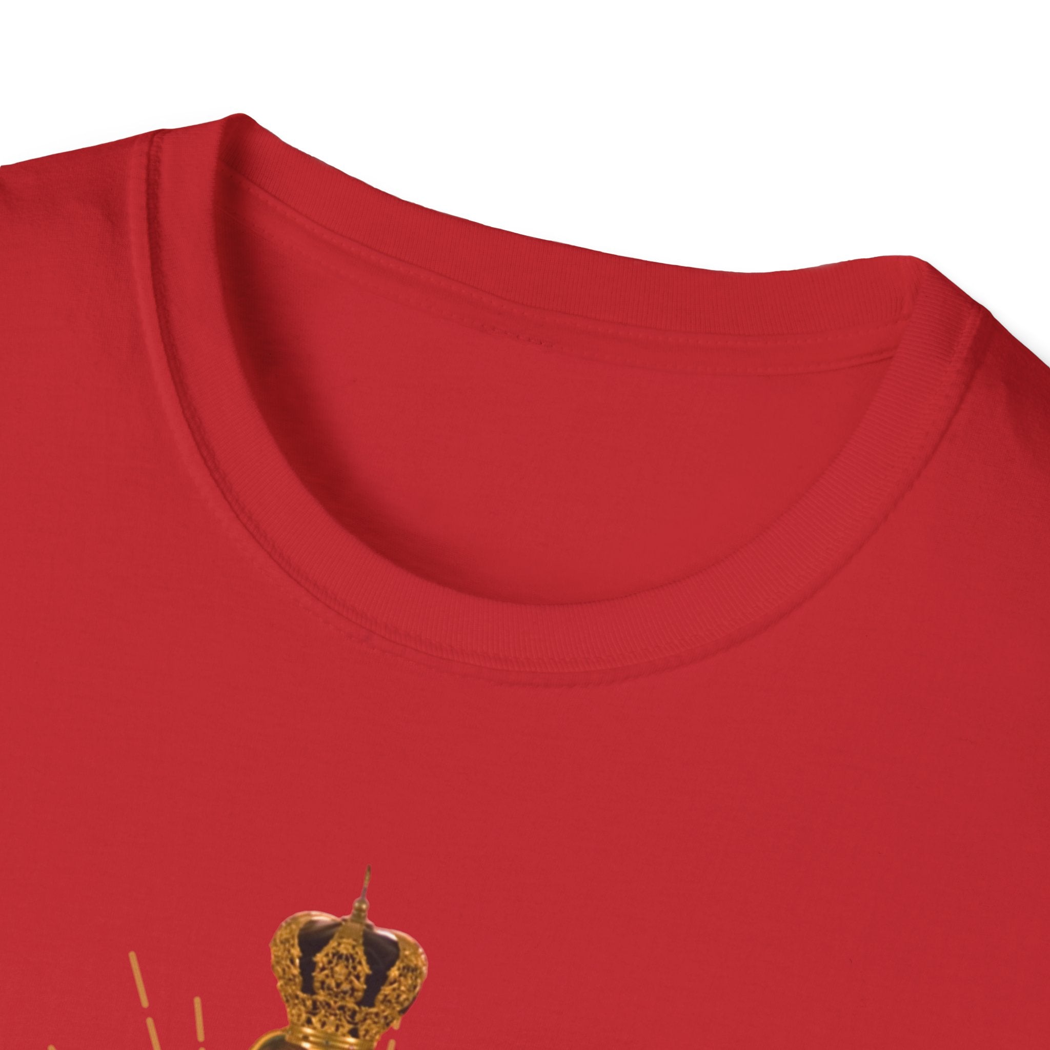 Our Lady of Guadalupe illustration T-Shirt | Virgin Mary, roses, devotional art