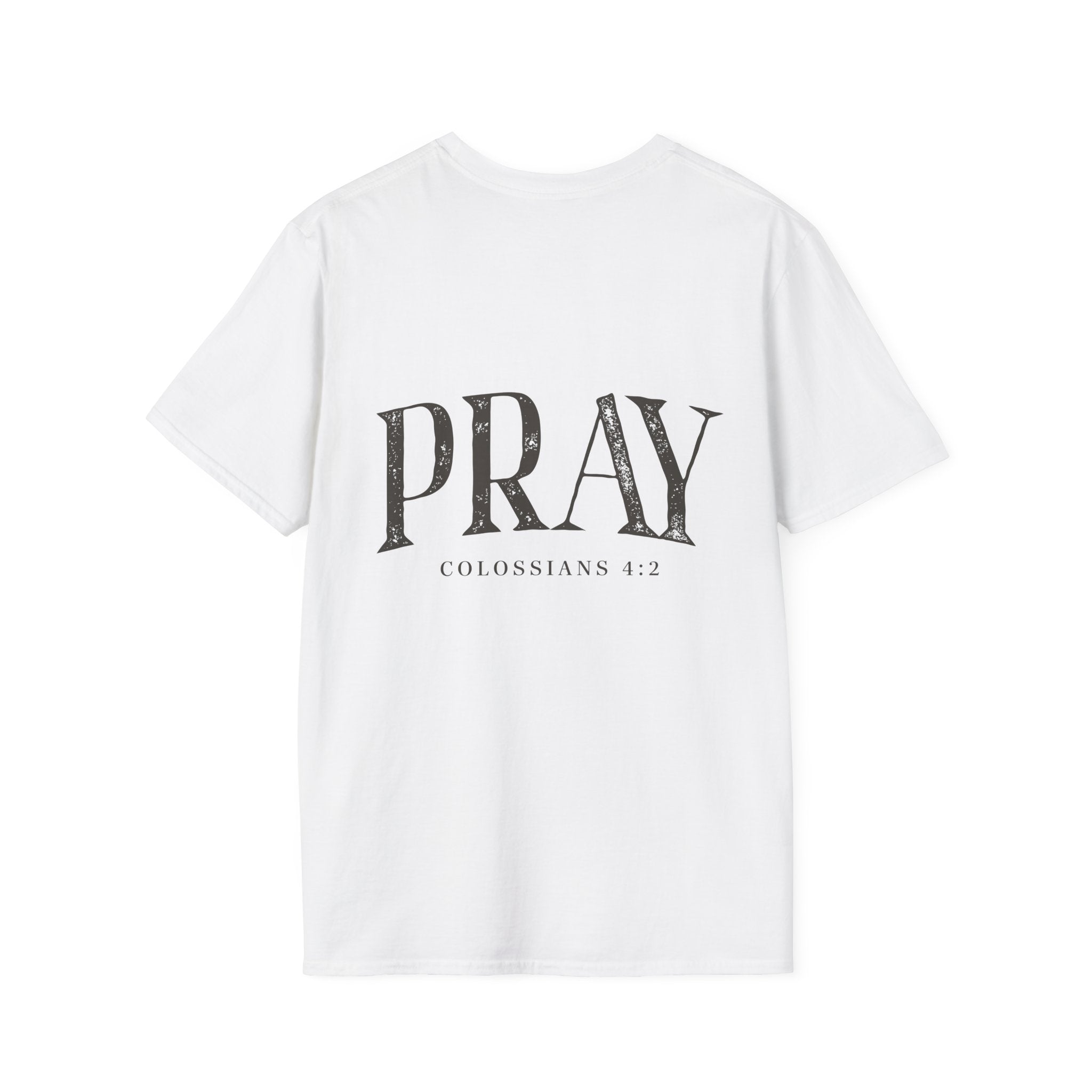 Virgin Mary Pray T-Shirt – Religious Catholic Tee with Colossians 4:2