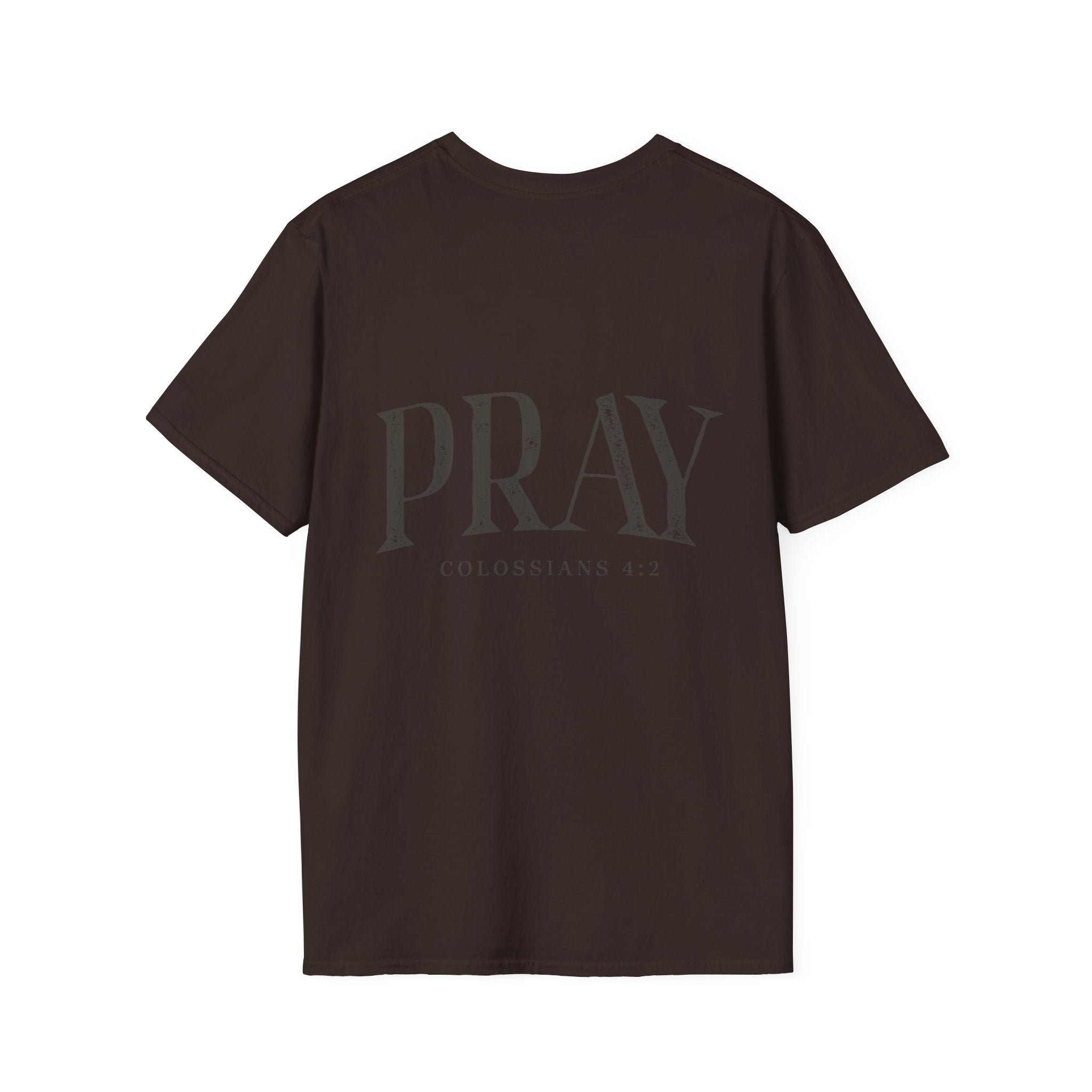 Virgin Mary Pray T-Shirt – Religious Catholic Tee with Colossians 4:2