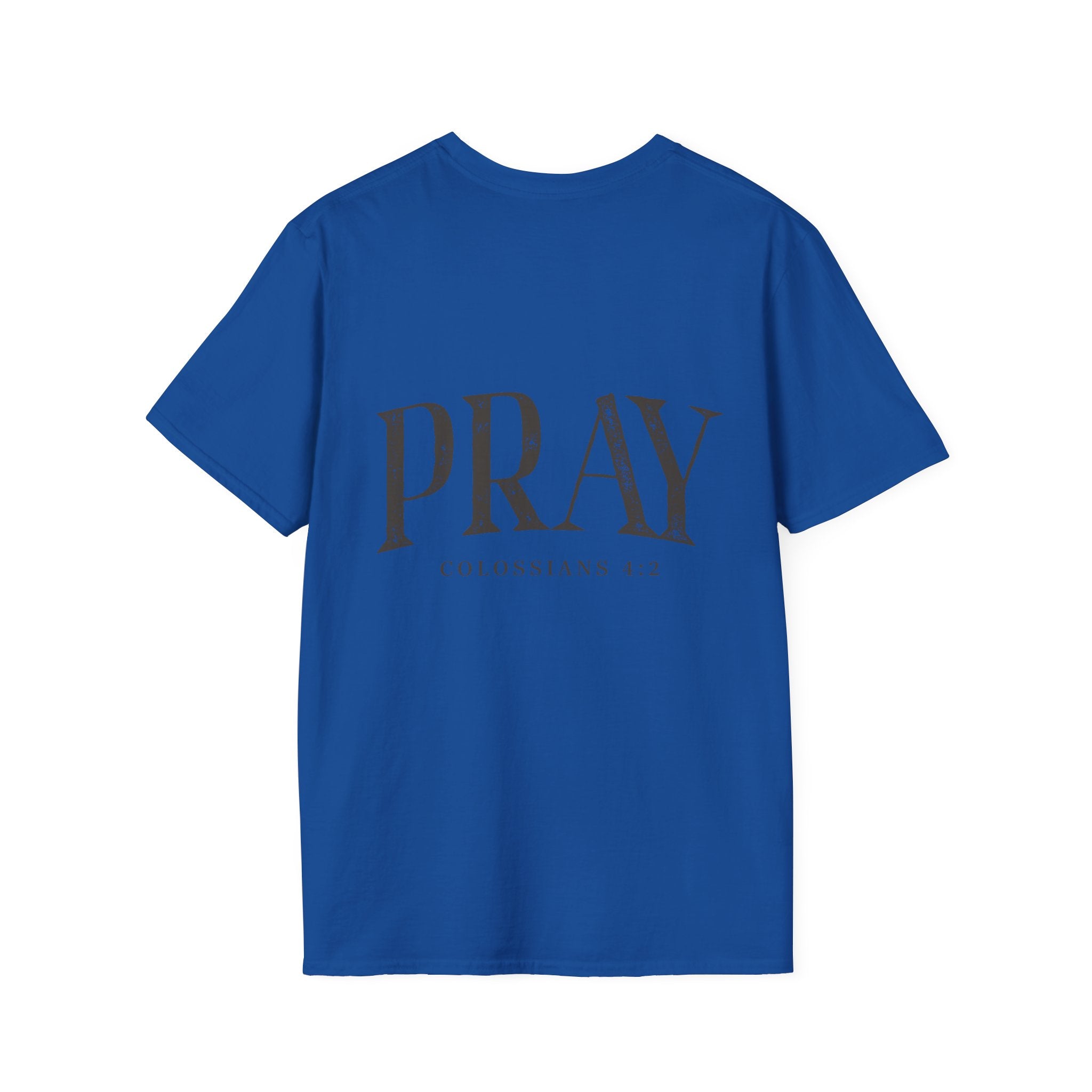 Virgin Mary Pray T-Shirt – Religious Catholic Tee with Colossians 4:2