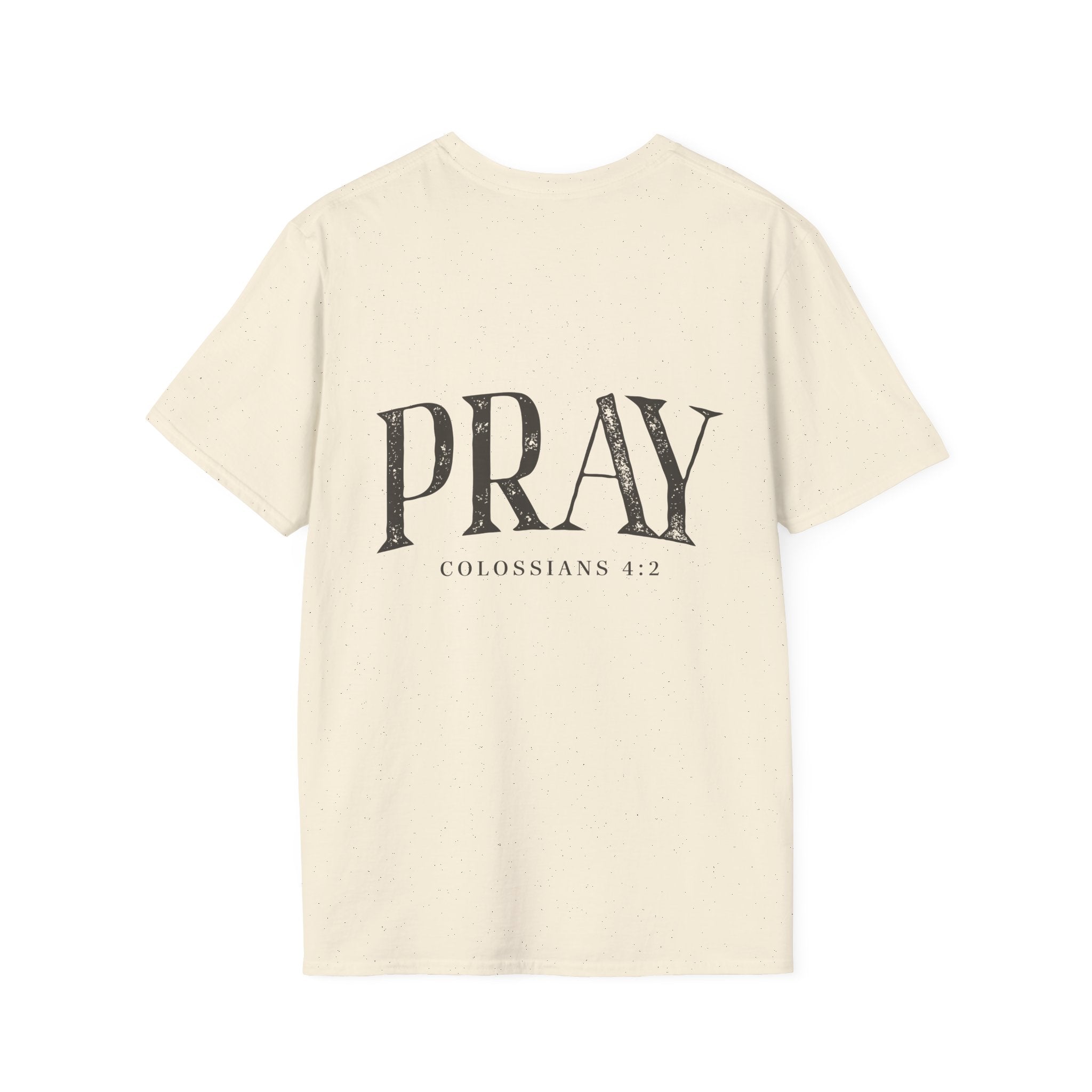 Virgin Mary Pray T-Shirt – Religious Catholic Tee with Colossians 4:2