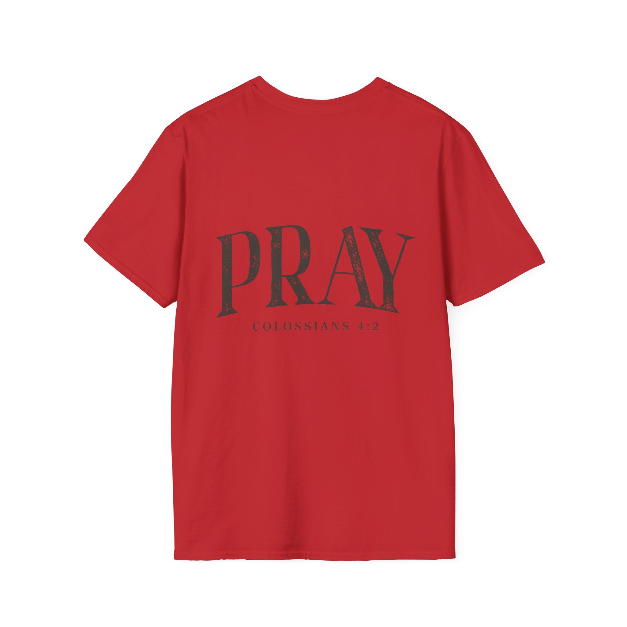 Virgin Mary Pray T-Shirt – Religious Catholic Tee with Colossians 4:2
